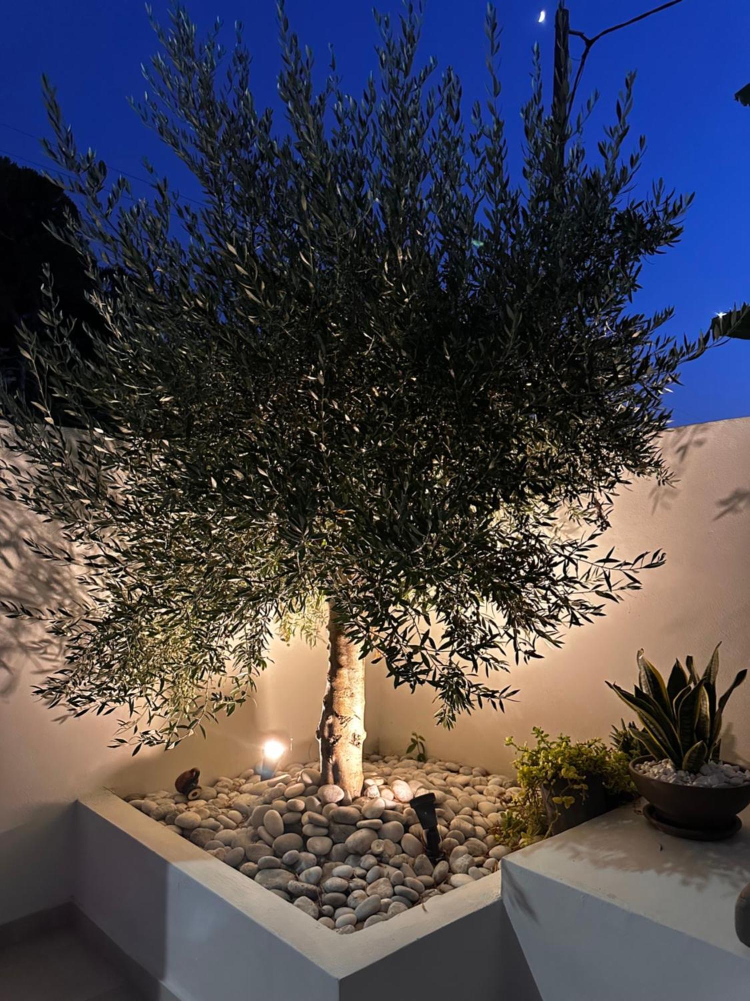 Rhotheon In Rhodes * Ialysós